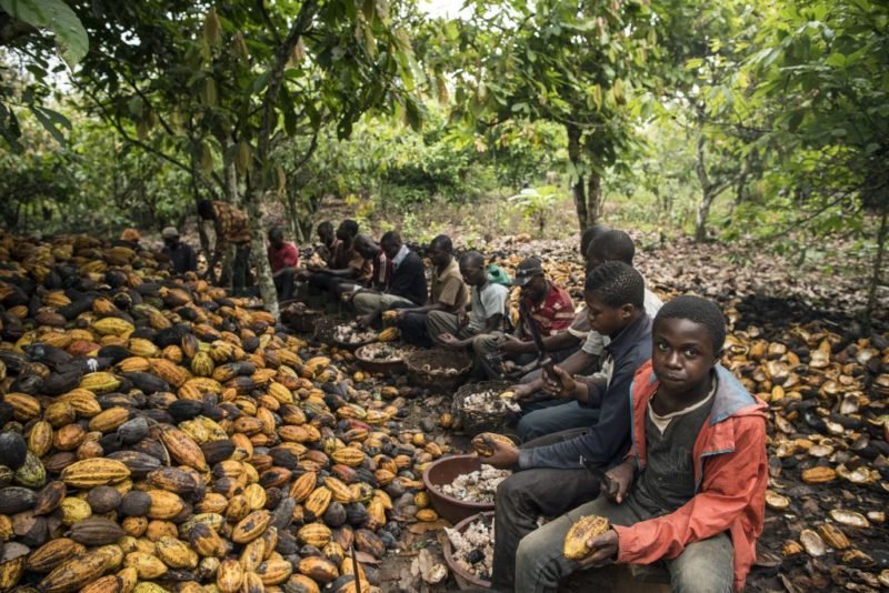 Education Center For Child Slavery On Volta Lake