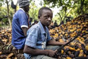 Child labour on cocoa farms