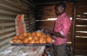 Creating Employment for 50 Young people F.P Uganda
