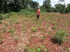 One beneficiary in his garden
