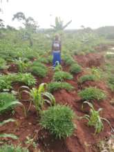 One of the beneficiaries in her garden