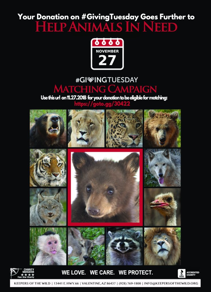 2018 #GivingTuesday Matching Campaign (11/27/18)