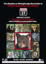 2018 #GivingTuesday Matching Campaign (11/27/18)