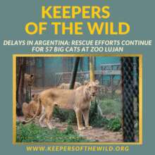 Argentina Rescue Update