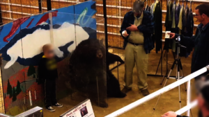 Cindi Chained to a Chair for a Photo Op