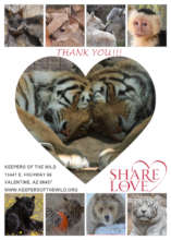 Thank you for sharing your love with the animals!