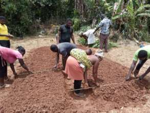 Placing the rice seeds