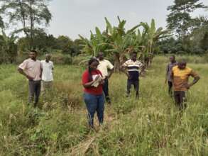 A demonstration of rice cultivation