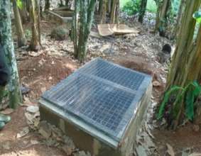 Snail Aquaculture Box