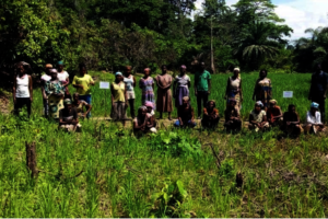 Rice farming training participants