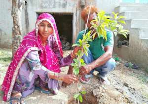 Planting A Tree; Save the Environment & Earth !!