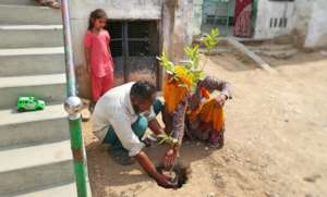 Planting A Tree; Save the Environment & Earth !!