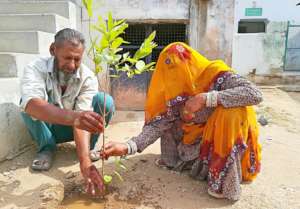 Planting A Tree; Save the Environment & Earth !!