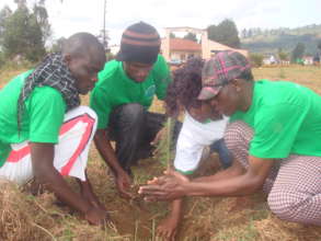 Green Schools Project