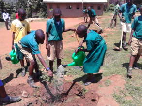 Green Schools Project