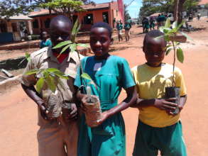 Green Schools Project