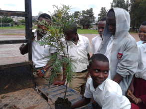 Green Schools Project