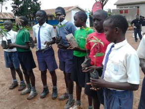 Green Schools Project