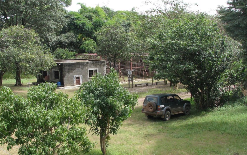 Protecting the Escape Artists at Chimfunshi