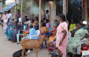 Income Generation Program for Poor Widows