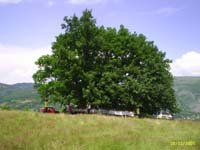Eco tour walking on the nature of Bitovik Hill
