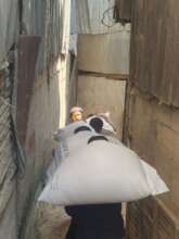 Rice is the staple of life