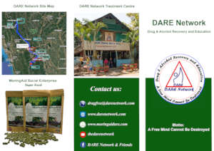 DARE Network brochure
