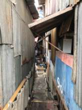 Inside the community