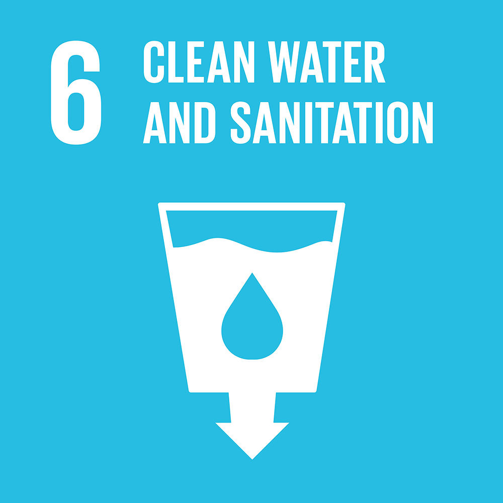Access to Water for 600 Rural Indian Families
