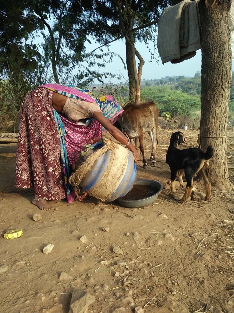 Access to Water for 600 Rural Indian Families