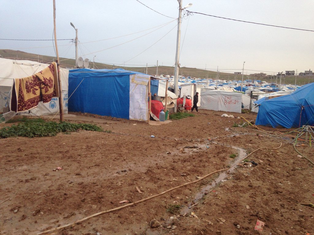 Relief for 1900 displaced families - Northern Iraq