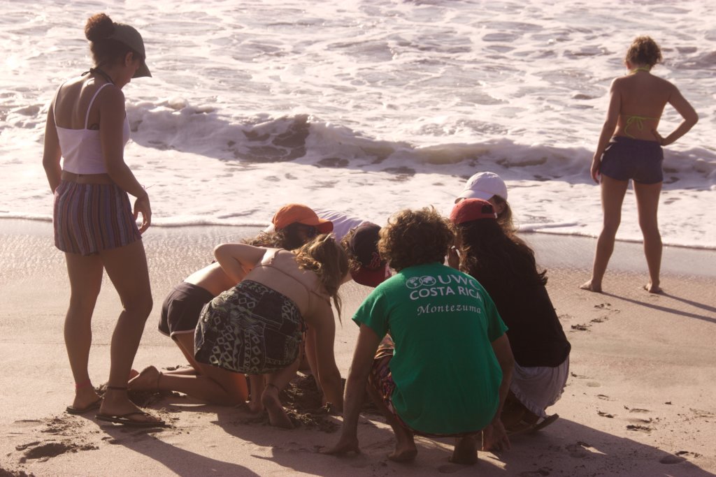 Help 10 at risk youth attain world-class education