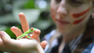 Located in Santa Ana, Costa Rica
