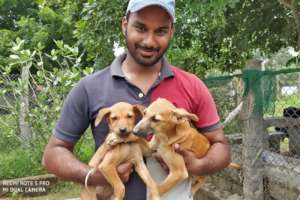 Lucky puppies getting adopted