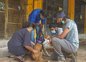 Physiotherapy Session in Progress for Pearl