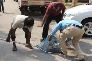 Anti-Rabies Vaccination Drive