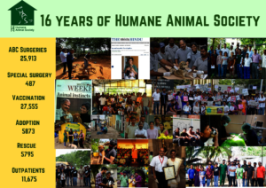 Sixteen years of service to animals