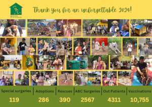 Over 10000 animals positively impacted in 2024