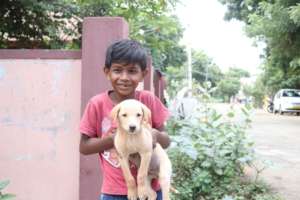 Kid bringing pet for Rabies Vaccination