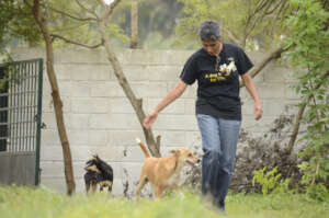 Two Decades Just Go By