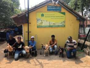 Paralyzed Dogs on Walking Wheels