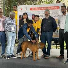 Anti-Rabies Vaccination Drive