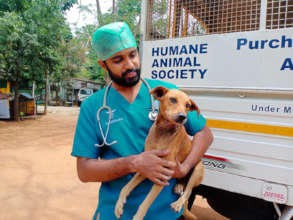 Rescue Pet Jaanu Fully Recovered