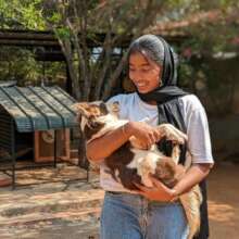 A volunteer giving emotional support to blind pet!