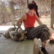 Volunteers with Rescue Pets