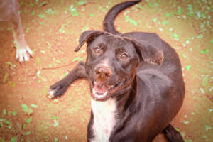 Thomas - From Hurt to Healed