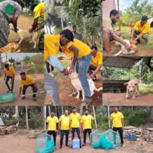 The mission rabies team in action