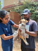World Rabies Day Event