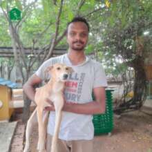 Poly gets adopted!
