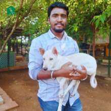 Prem gets his forever home!